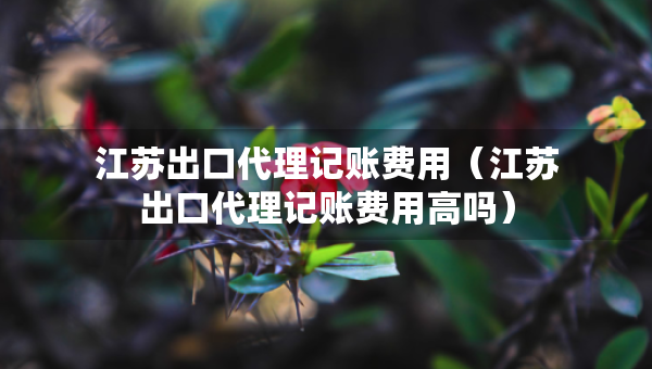 江蘇出口代理記賬費(fèi)用（江蘇出口代理記賬費(fèi)用高嗎）