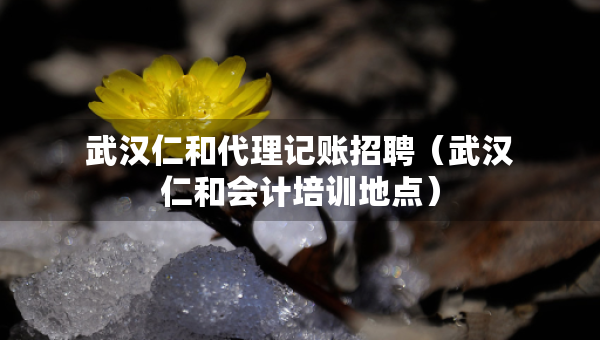 武漢仁和代理記賬招聘（武漢仁和會計培訓(xùn)地點）