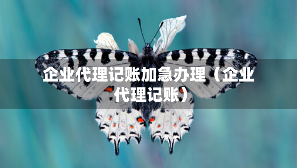 企業(yè)代理記賬加急辦理（企業(yè) 代理記賬）