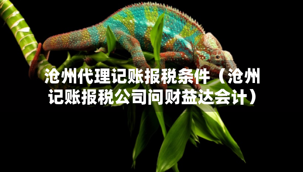 滄州代理記賬報(bào)稅條件（滄州記賬報(bào)稅公司問(wèn)財(cái)益達(dá)會(huì)計(jì)）