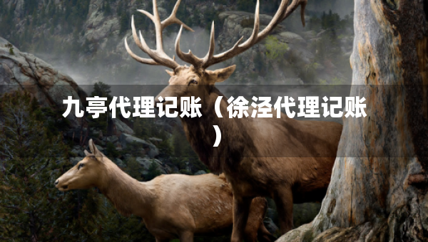 九亭代理記賬（徐涇代理記賬）
