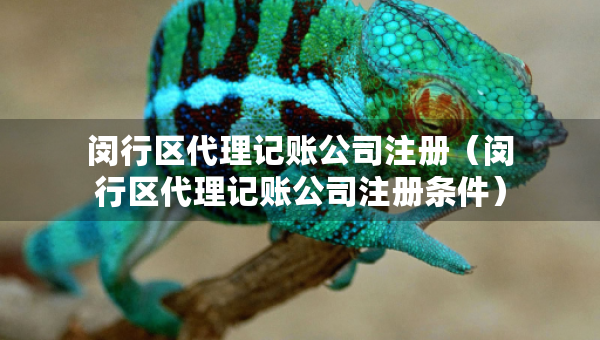 閔行區(qū)代理記賬公司注冊（閔行區(qū)代理記賬公司注冊條件）