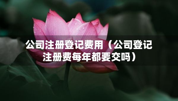公司注冊登記費用（公司登記注冊費每年都要交嗎）