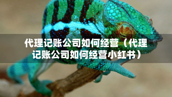 代理記賬公司如何經(jīng)營（代理記賬公司如何經(jīng)營小紅書）