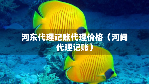 河?xùn)|代理記賬代理價格（河間代理記賬）