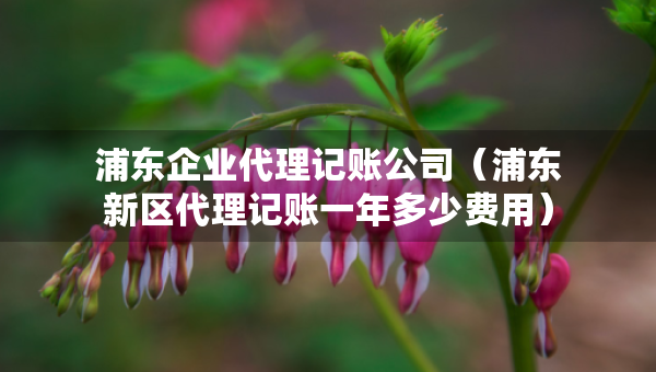 浦東企業(yè)代理記賬公司（浦東新區(qū)代理記賬一年多少費用）