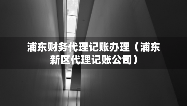 浦東財務代理記賬辦理（浦東新區(qū)代理記賬公司）