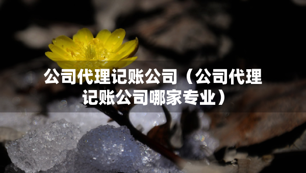 公司代理記賬公司（公司代理記賬公司哪家專(zhuān)業(yè)）