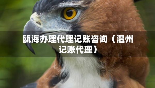 甌海辦理代理記賬咨詢（溫州記賬代理）