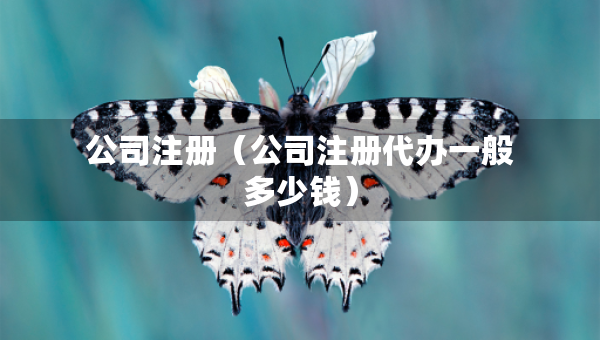 公司注冊(cè)（公司注冊(cè)代辦一般多少錢(qián)）