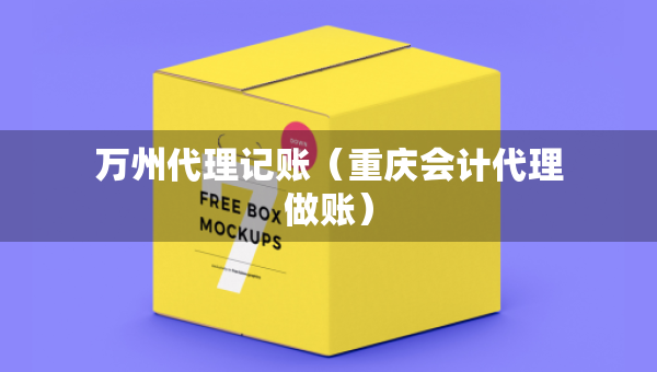 萬州代理記賬（重慶會(huì)計(jì)代理做賬）