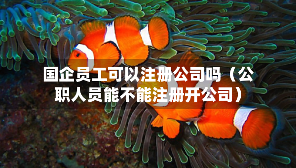 國(guó)企員工可以注冊(cè)公司嗎（公職人員能不能注冊(cè)開(kāi)公司）