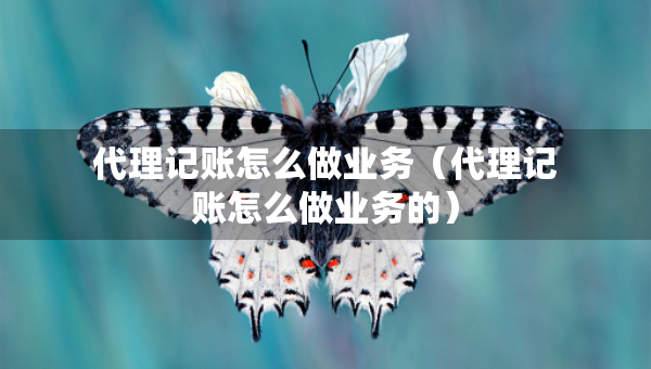 代理記賬怎么做業(yè)務(wù)（代理記賬怎么做業(yè)務(wù)的）