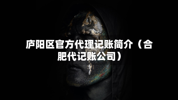 廬陽區(qū)官方代理記賬簡(jiǎn)介（合肥代記賬公司）