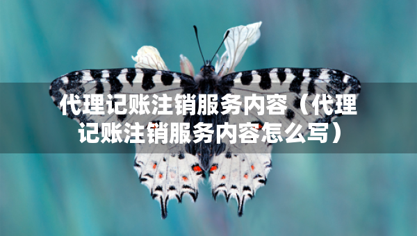 代理記賬注銷服務內容（代理記賬注銷服務內容怎么寫）