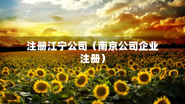 注冊江寧公司（南京公司企業(yè)注冊）