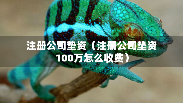 注冊公司墊資（注冊公司墊資100萬怎么收費）