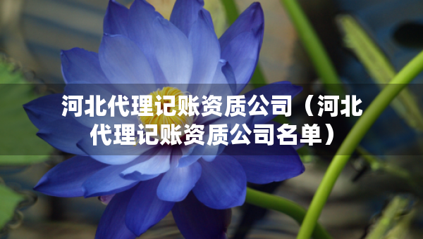 河北代理記賬資質(zhì)公司（河北代理記賬資質(zhì)公司名單）