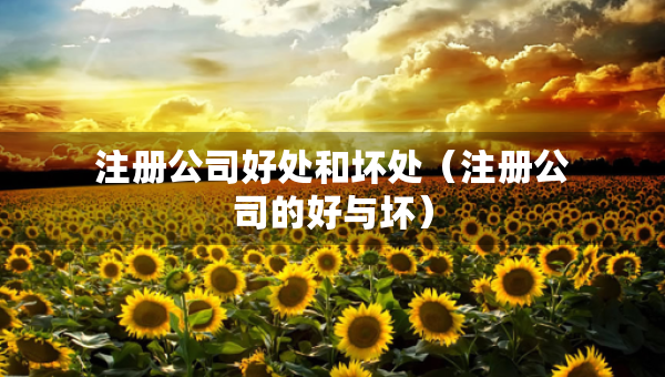 注冊(cè)公司好處和壞處（注冊(cè)公司的好與壞）
