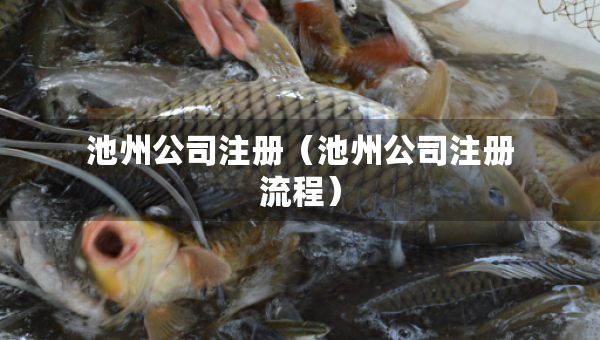 池州公司注冊(cè)（池州公司注冊(cè)流程）