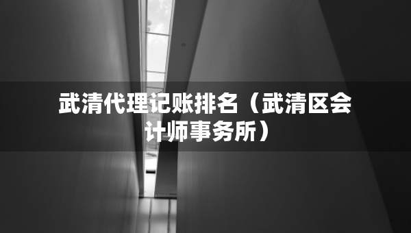 武清代理記賬排名（武清區(qū)會計師事務(wù)所）