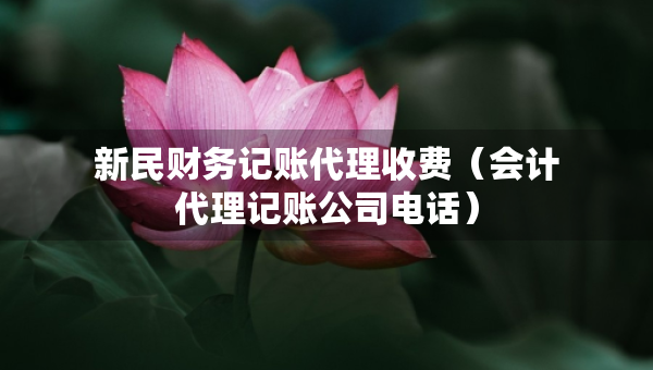 新民財務(wù)記賬代理收費（會計代理記賬公司電話）