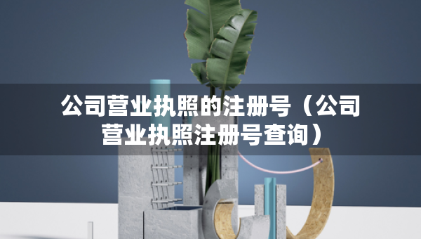 公司營業(yè)執(zhí)照的注冊號（公司營業(yè)執(zhí)照注冊號查詢）