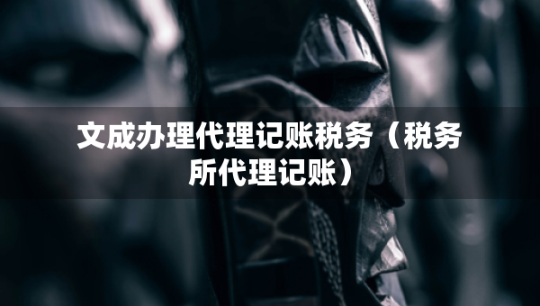 文成辦理代理記賬稅務（稅務所代理記賬）