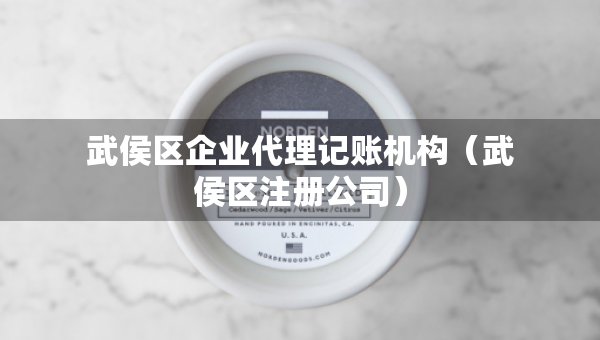 武侯區(qū)企業(yè)代理記賬機(jī)構(gòu)（武侯區(qū)注冊(cè)公司）