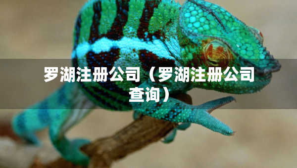 羅湖注冊公司（羅湖注冊公司查詢）