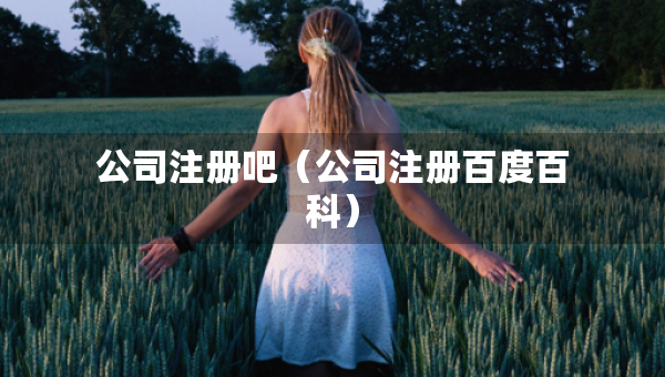 公司注冊吧（公司注冊百度百科）
