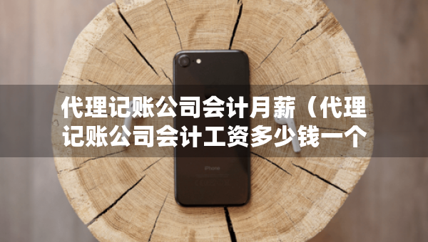 代理記賬公司會計月薪（代理記賬公司會計工資多少錢一個月）