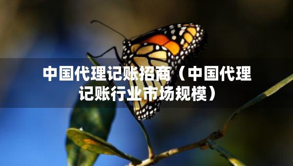 中國代理記賬招商（中國代理記賬行業(yè)市場規(guī)模）