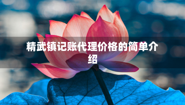 精武鎮(zhèn)記賬代理價格的簡單介紹