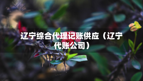 遼寧綜合代理記賬供應(yīng)（遼寧代賬公司）