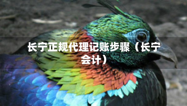 長寧正規(guī)代理記賬步驟（長寧會計）
