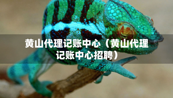 黃山代理記賬中心（黃山代理記賬中心招聘）