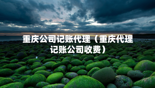 重慶公司記賬代理（重慶代理記賬公司收費(fèi)）
