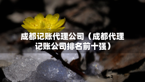 成都記賬代理公司（成都代理記賬公司排名前十強(qiáng)）
