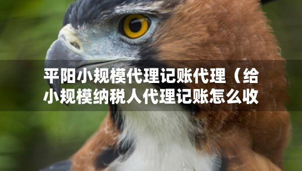 平陽小規(guī)模代理記賬代理（給小規(guī)模納稅人代理記賬怎么收費(fèi)）