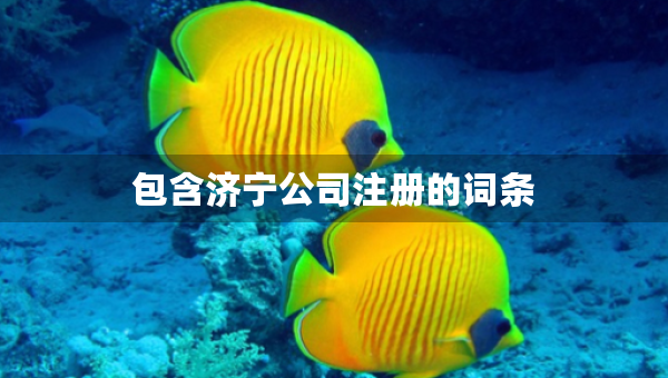 包含濟(jì)寧公司注冊(cè)的詞條