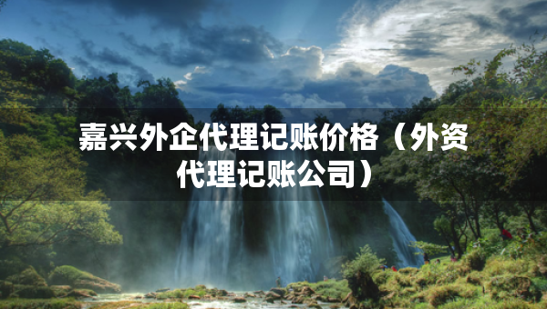 嘉興外企代理記賬價(jià)格（外資代理記賬公司）