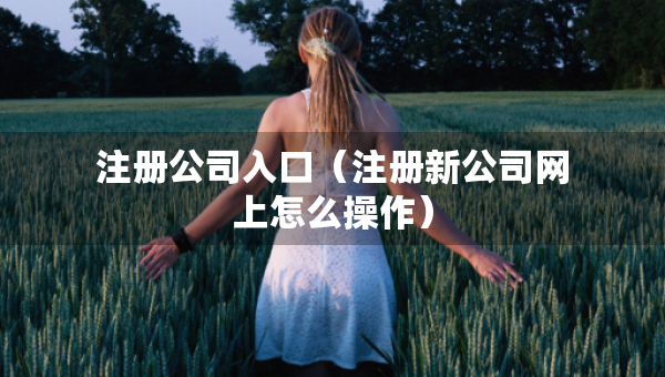 注冊(cè)公司入口（注冊(cè)新公司網(wǎng)上怎么操作）