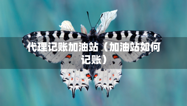 代理記賬加油站（加油站如何記賬）