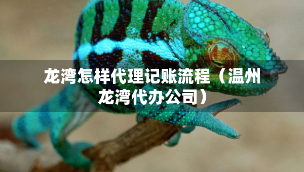龍灣怎樣代理記賬流程（溫州龍灣代辦公司）