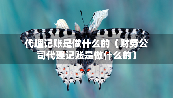 代理記賬是做什么的（財務公司代理記賬是做什么的）