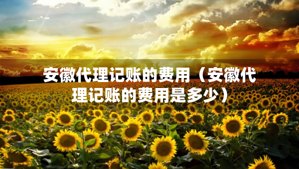 安徽代理記賬的費(fèi)用（安徽代理記賬的費(fèi)用是多少）