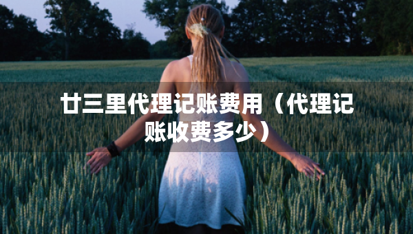 廿三里代理記賬費(fèi)用（代理記賬收費(fèi)多少）