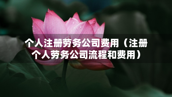 個人注冊勞務(wù)公司費用（注冊個人勞務(wù)公司流程和費用）