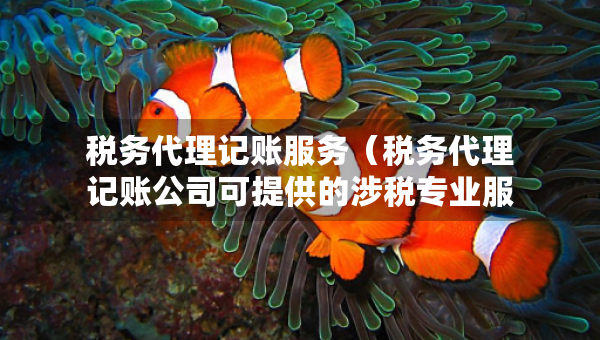 稅務(wù)代理記賬服務(wù)（稅務(wù)代理記賬公司可提供的涉稅專(zhuān)業(yè)服務(wù)）